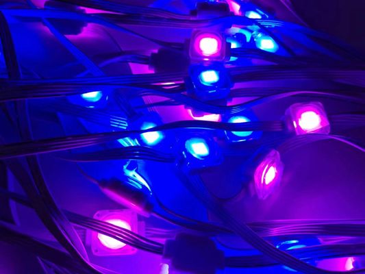 Factory Price 24v Christmas Decoration Outdoor Waterproof Kits Rgbw Pixel Led light