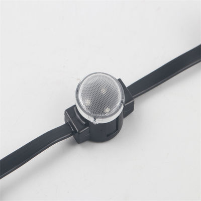 RGB Pixel Outdoor Waterproof LED Point Light PC Shell Permanent Christmas Lights For Landscape