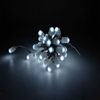 Led Pixel Light 0.2W DC12V IP67 Single Color 9mm Outdoor Waterproof Advertising Channel Letters