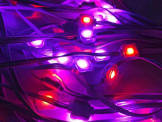 SMD5050 RGBW LED Eaves Light for Permanent Halloween Outdoor Decorative Lighting