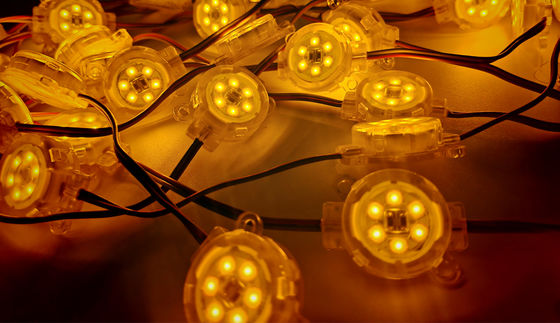 SMD2835 Experience 0.6W Outdoor Waterproof Single Color Ip67 30mm DC12V Round LED Pixel Point Light