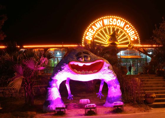 Controllable LED Pixel Light Digital RGB DC24V 6smd 5050 IP67