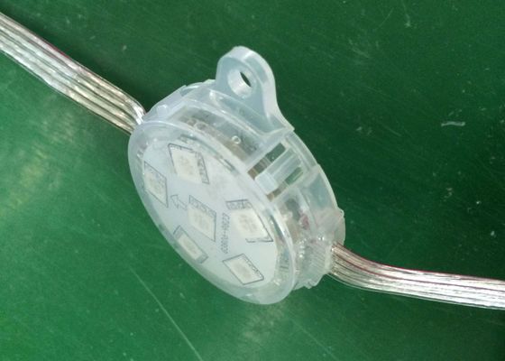 Full Color 5050 LED Pixel Light LED Globe String Lights Customize