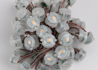 خیابان DC12V 20mm SMD 5050 IP67 رهبری پیکسل کریسمس چراغ 2000mcd
