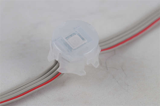 چراغ تعطیلات دائمی 20 میلی متری 5050 Rgb Rgbw 1903 2904 Dmx512 IC Led Pixel Point Light