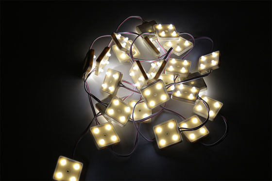 Premium High-Luminance LED Light Module IP68 Rated for Advertising Ornamental Lighting and Amusement Parks