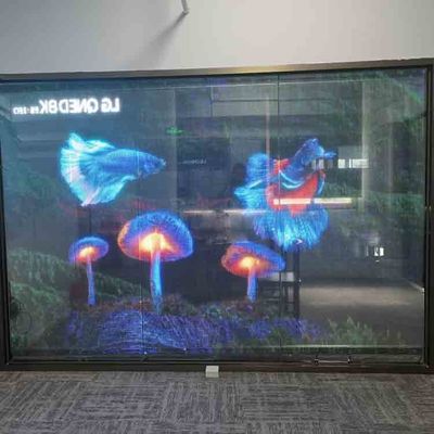 صفحه نمایش فیلمی شفاف LED در داخل خانه رنگ کامل صفحه نمایش شفاف LED انعطاف پذیر