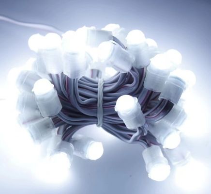 چراغ LED سفید در فضای باز ضد آب 50 LED DC 12V 9mm LED Pixel String Light