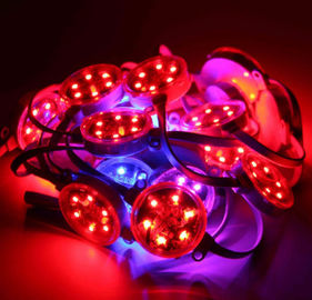در فضای باز 40mm 50mm SMD3535 DMX دیجیتال RGB رهبری پیکسل IP67 ضد آب