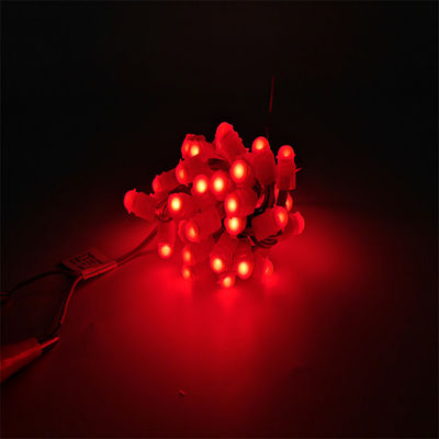 معجزه لوبیا LED کریسمس تزئینات LED نور نقطه ای تک رنگ LED قابل برنامه ریزی نور پیکسل
