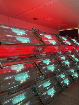 P10 RGB Color LED Transparent Film Screen Indoor Hard / Flexible LED Display Screen