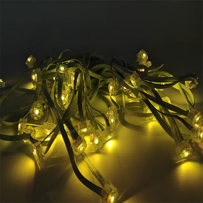 Christmas Outdoor Holiday Lighting SMD5050 LED DC12V 20MMM Light for House eave light Decoration