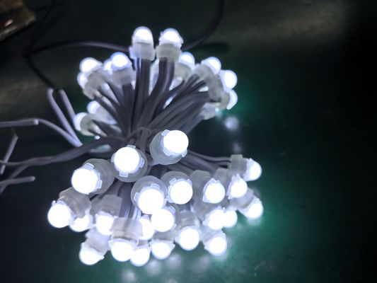 نورهای نقطه ای 9 سانتی متری PVC منبع LED رنگی و کنترل SPI برای برنامه های منظره ای