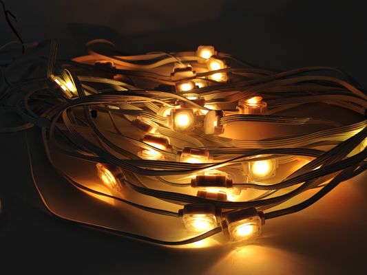 24V IP67 LED Outside Christmas Lights for Home Decoration SPI Control LED Suppliers