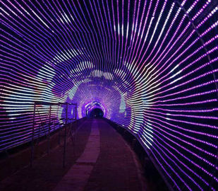 RGB Color Linear LED Strip 30000 H Lifespan 288000mcd Intensity For Outdoor