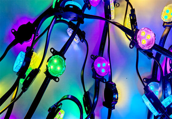 Long Distance30mm 24V IP67 RGBW SMD3535 0.75W LED Pixel Light Color Decorative Lighting