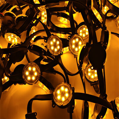 IP67 Waterproof DC48V 50mm Programmable LED Pixel Light for Indoor and Outdoor
