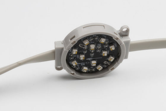 رشته های نوری RGBW 50MM 3.5W 24V IP67 Rgb Pixel