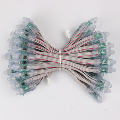 Miracle Bean 12mm Rgb BIS Certificate WS2811 1903 Led Pixel Light RGB ضد آب LED String 5V 12 V 50pcs