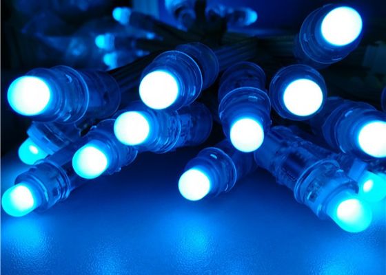 Miracle Bean 12mm Rgb Addressable WS2811 1903 Christmas Full Color RGB F8 12mm 5V 12V LED Pixel Light from Factory