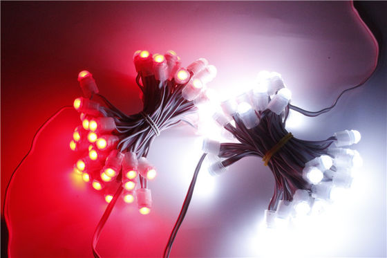 چراغ LED Pixel ضد آب SMD2025 12V IP67 0.15W 9mm