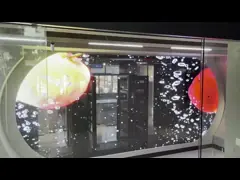 فضای داخلی P2.6 Full Color LED Transparent Digital Poster برای مراکز خرید صفحه نمایش های تبلیغاتی صفحه نمایش های پنجره ای عملکرد انیمیشن